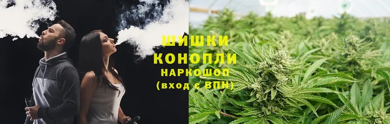 Конопля Bruce Banner  Артёмовск 